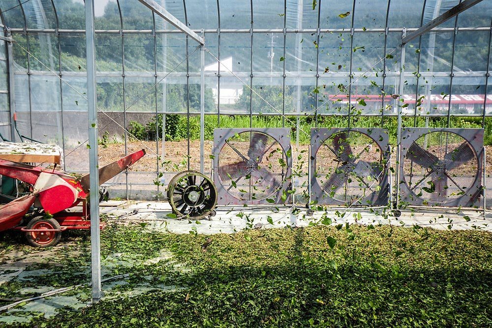 BUAISOU Feature on COOL HUNTING