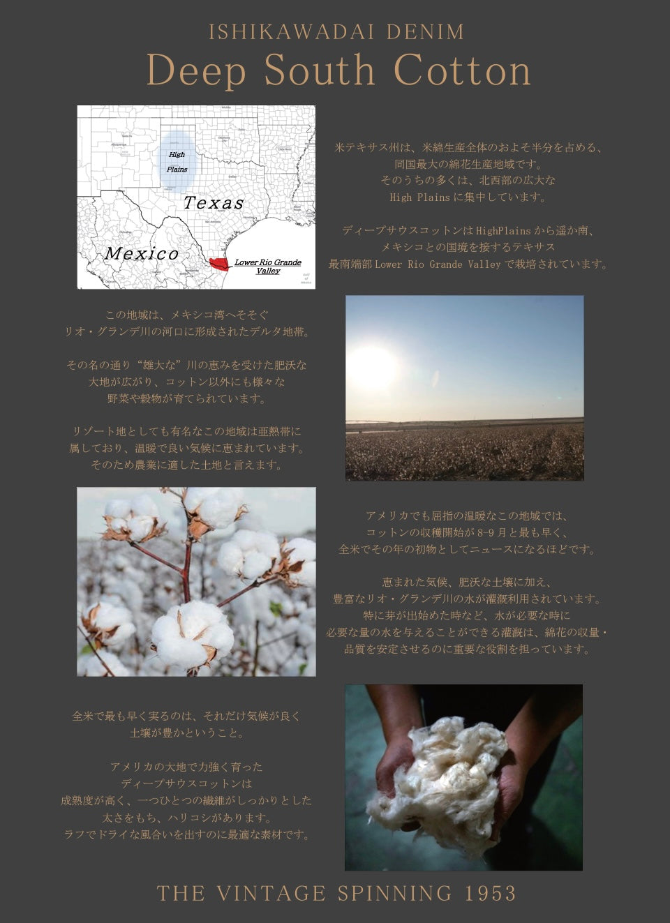 STUDIO D'ARTISAN - 45th Anniversary 13oz Ishikawa-dai Jeans Regular Straight SP-085 + Tote Bag - Tempo