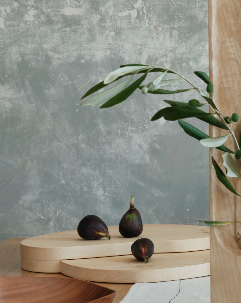 Pre-order Tracé 01 boards