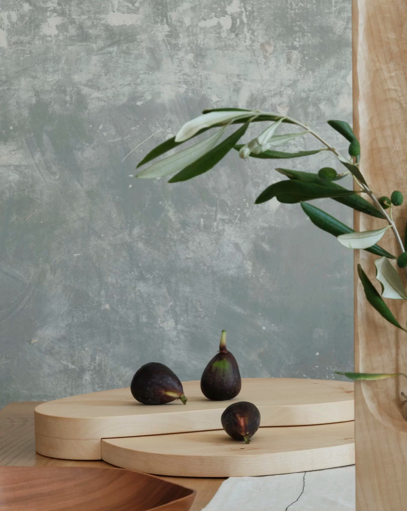 Pre-order Tracé 01 boards