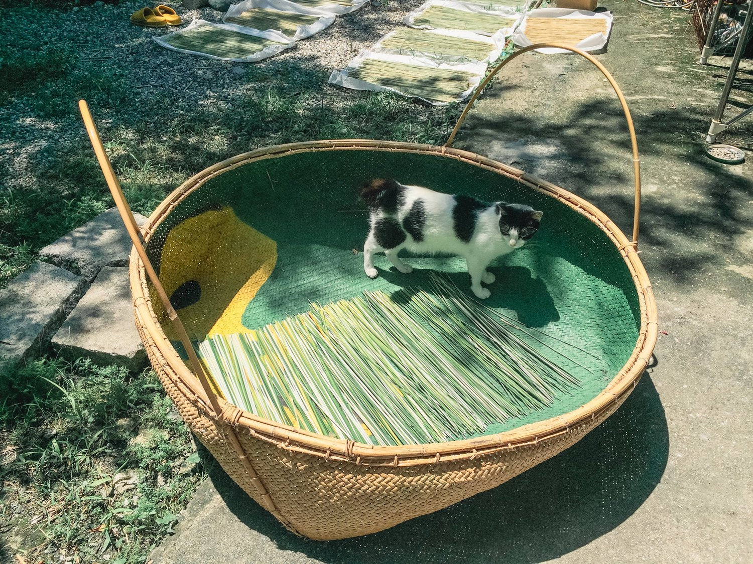 Ryar Light 35 | Pendant Lamp - Tempo