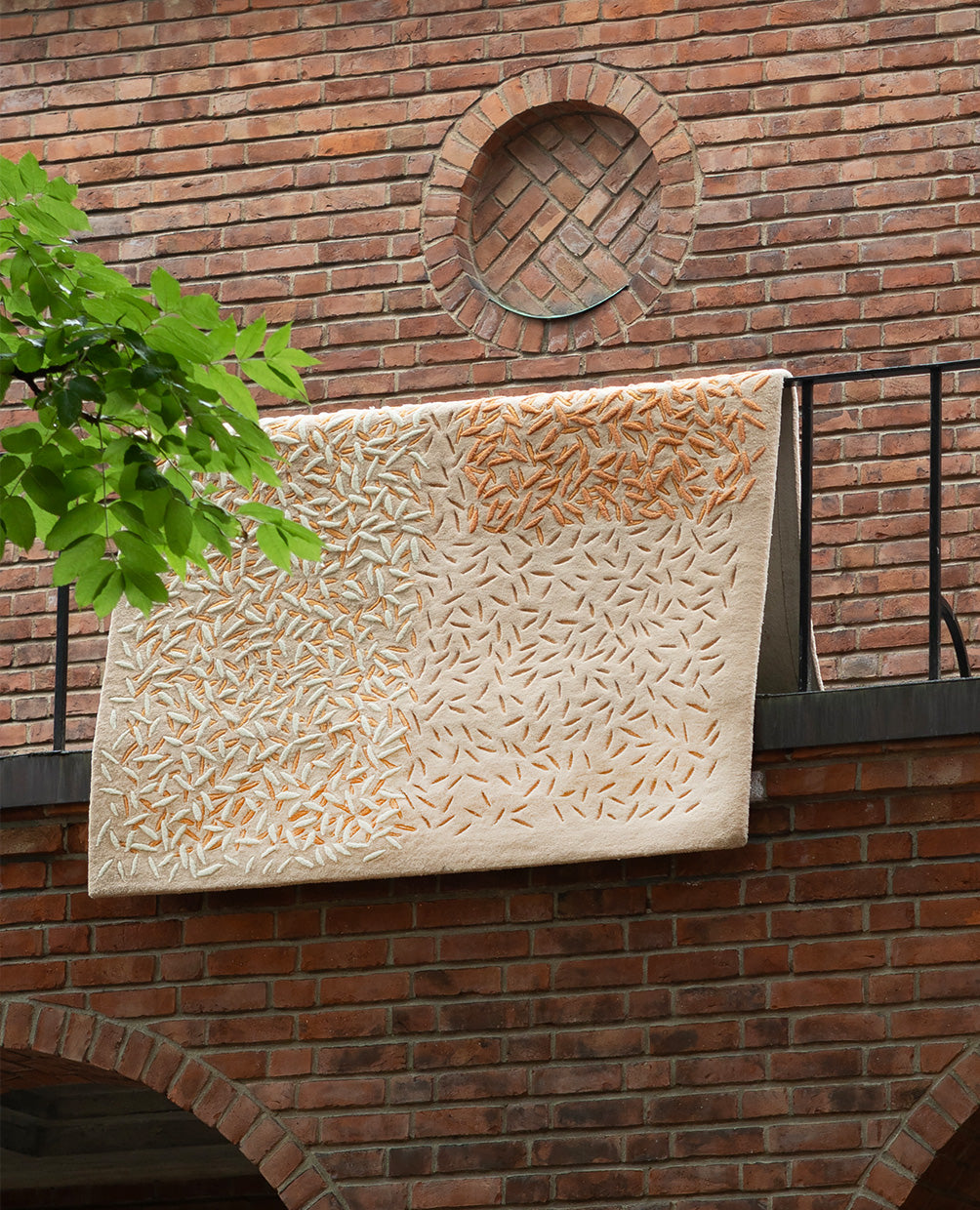 MASSIMO - Affinity by Vera & Kyte - Tempo