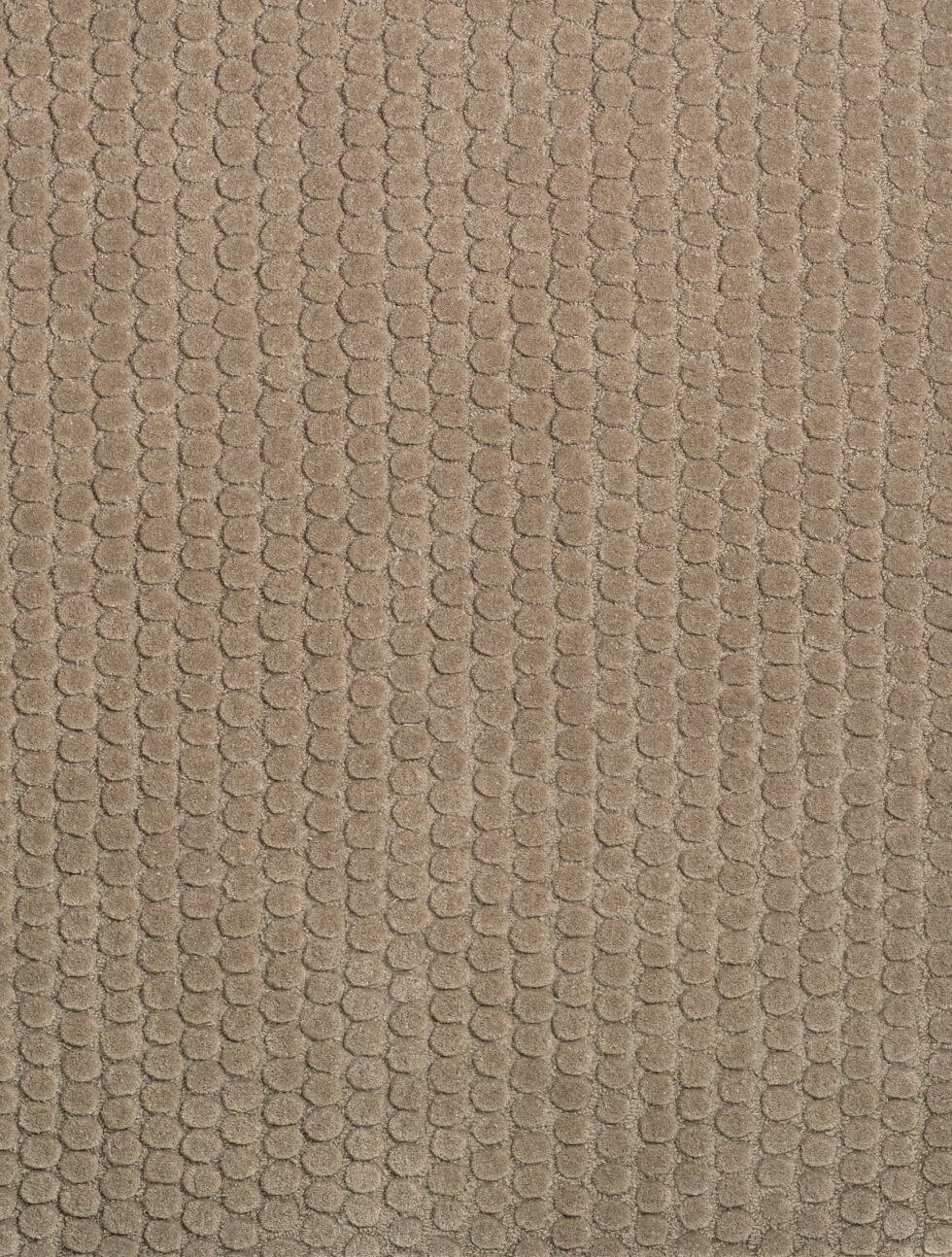 MASSIMO - Drops – Surface by GROUNDWORK Studio - Tempo