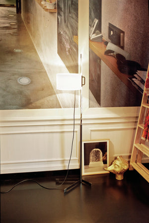 TMC Floor Lamp