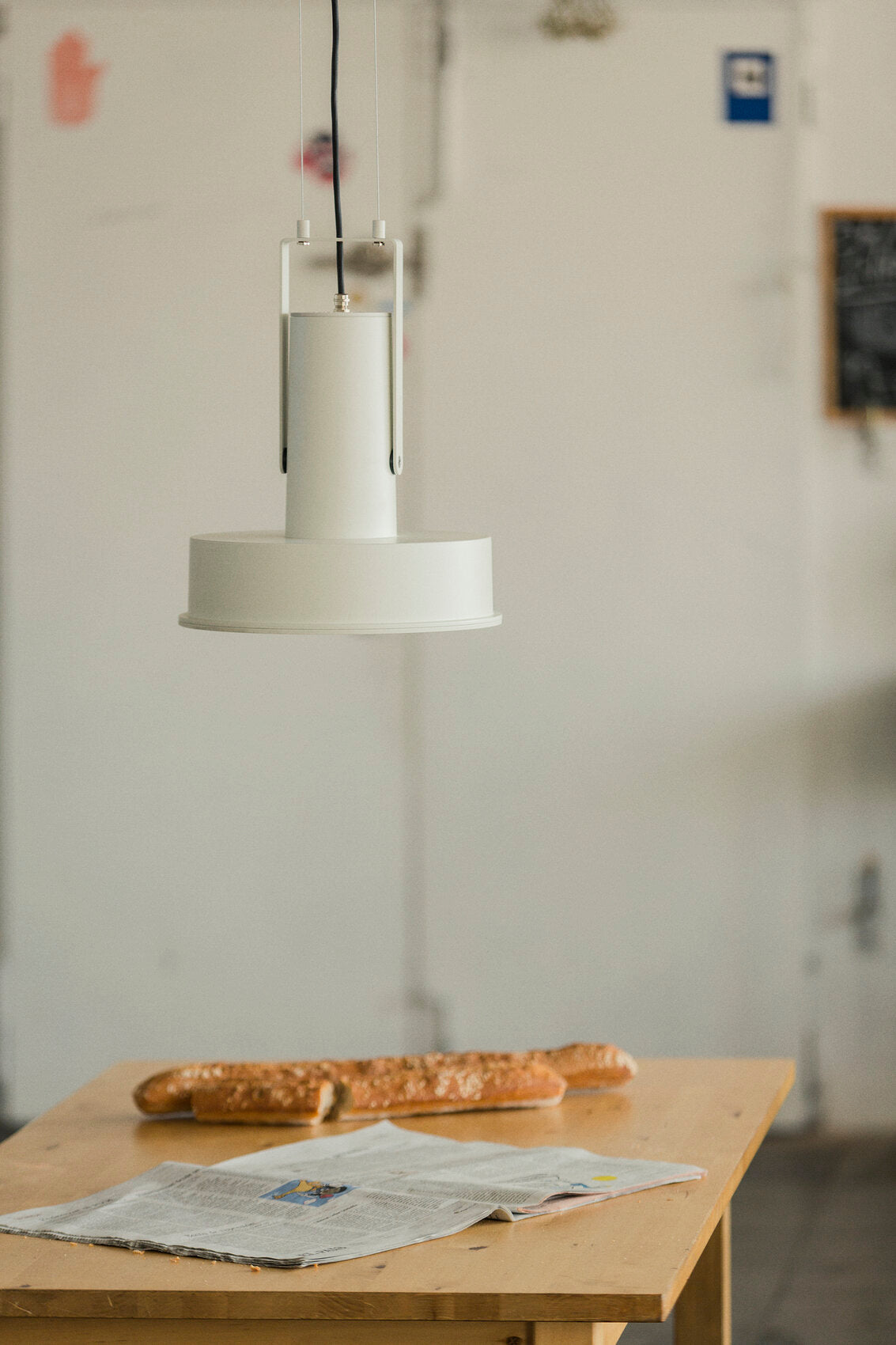 Arne Domus Pendant Lamp & Outdoor