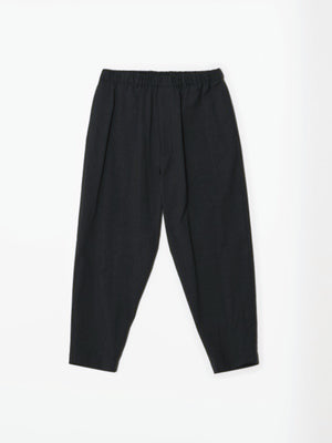 Brushed Wool Gabardine Tapered Pants | Black - Tempo