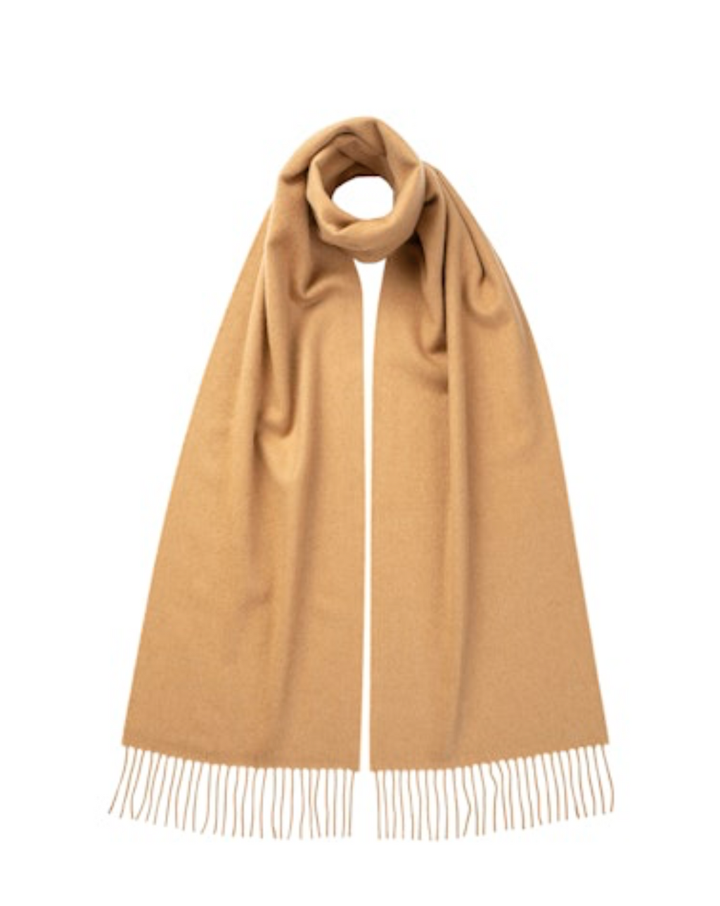 JOHNSTONS OF ELGIN - Pre-Order: Cashmere Plain Scarf in Camel - Tempo
