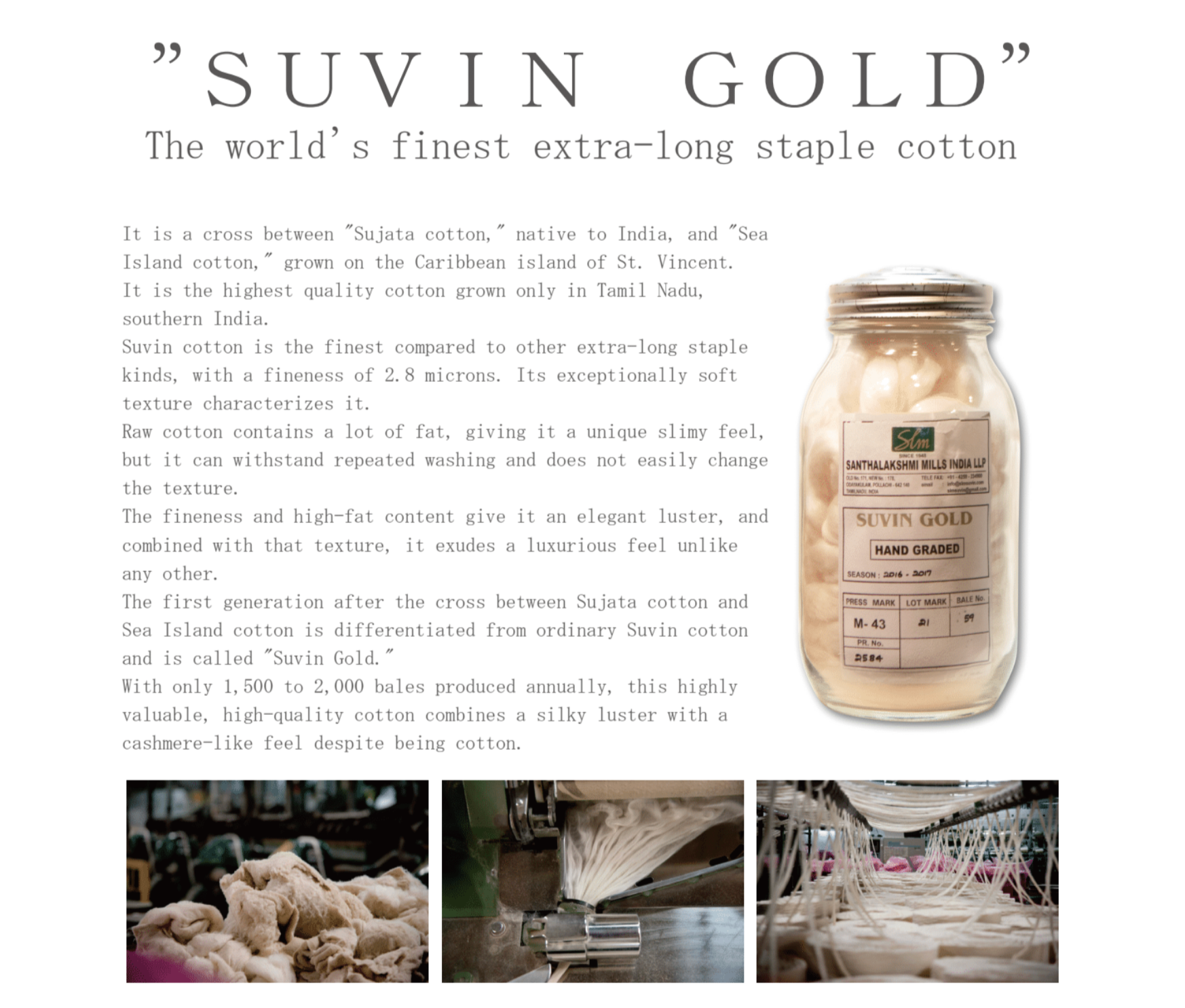 STUDIO D'ARTISAN - PRE-ORDER: Suvin Gold T-Shirt - Tempo
