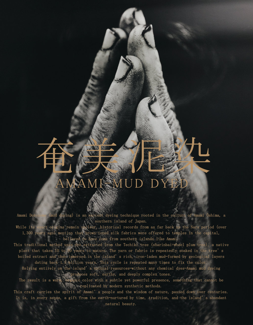 STUDIO D'ARTISAN - Amami Dorozome Mud Dyed Loopwheel T-Shirt - Dark Brown - Tempo