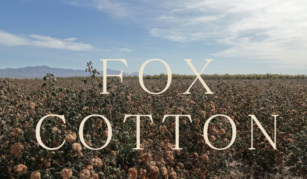 STUDIO D'ARTISAN - Organic Fox Cotton 11oz. Work Shirt - Tempo