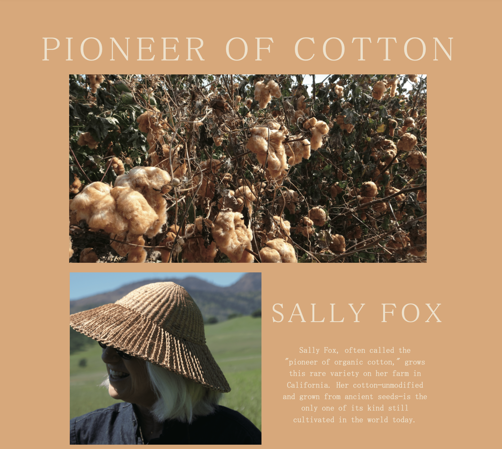 STUDIO D'ARTISAN - Organic Fox Cotton 11oz. Work Shirt - Tempo