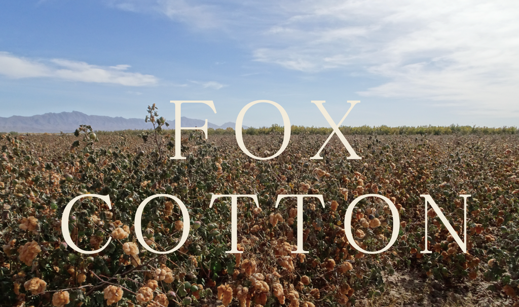 STUDIO D'ARTISAN - PRE-ORDER - FOX ORGANIC COTTON  12OZ DENIM RAILROAD JACKET - Tempo