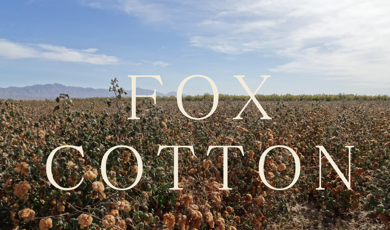 STUDIO D'ARTISAN - PRE-ORDER - FOX ORGANIC COTTON  12OZ DENIM RAILROAD JACKET - Tempo