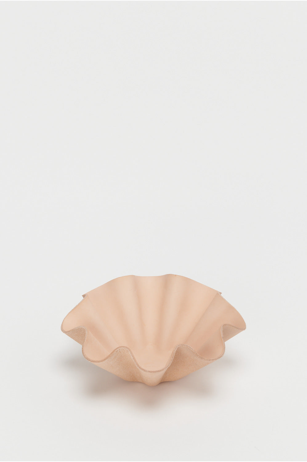 Shell Bowl Big - Tempo