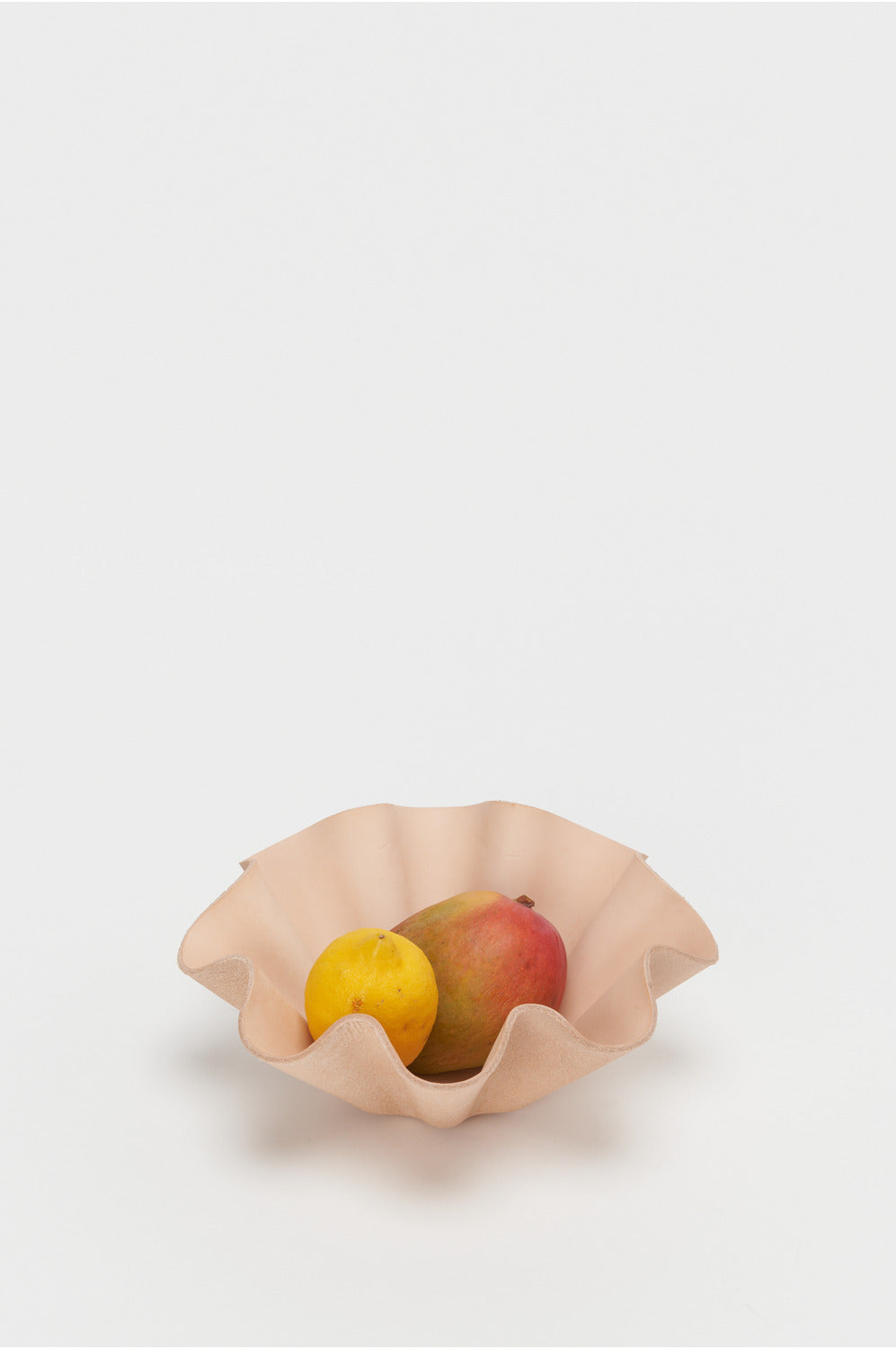 Shell Bowl Big - Tempo