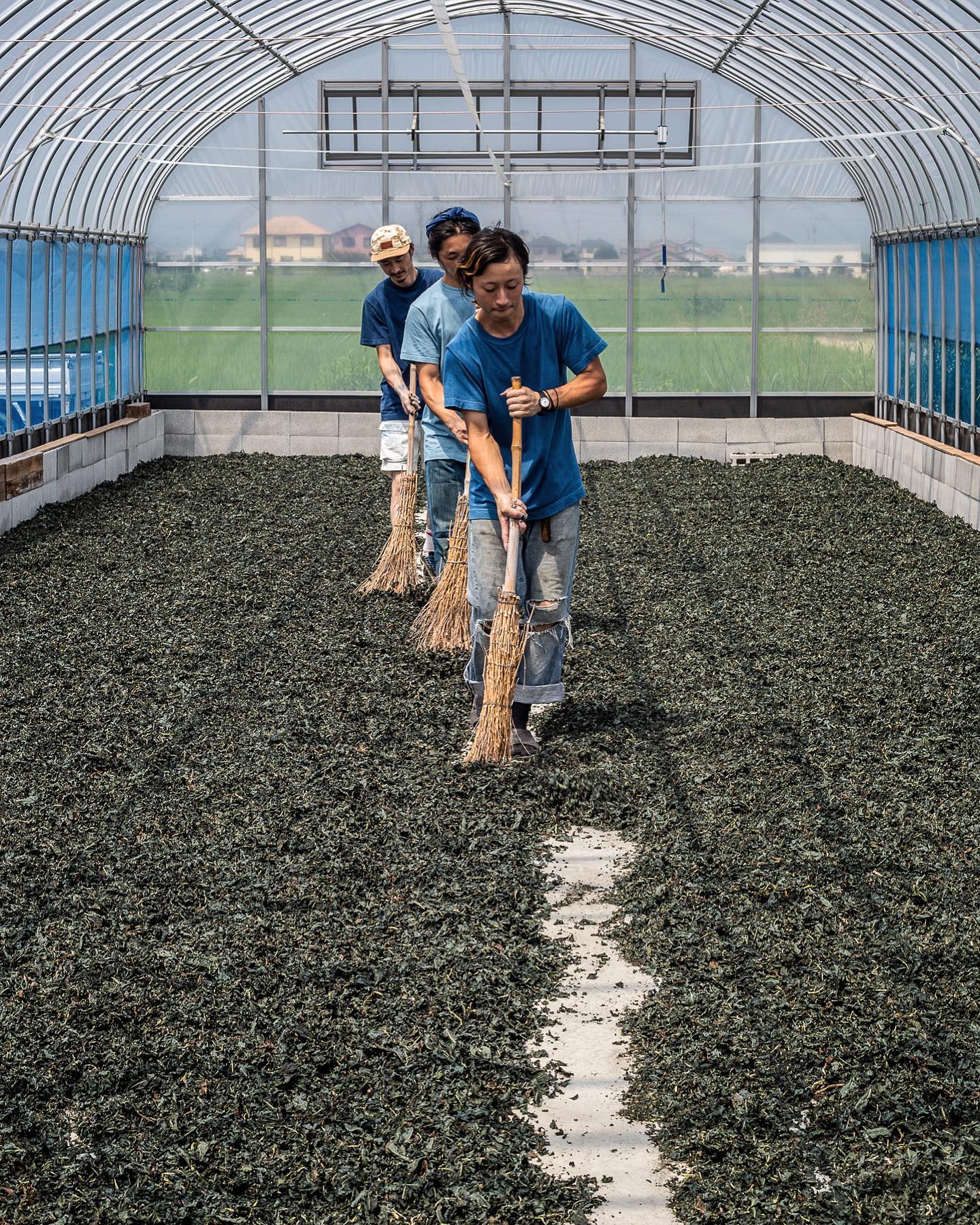 Yakusugi Cedar Bracelet - Sukumo Natural Indigo Hand-Dyed - Tempo