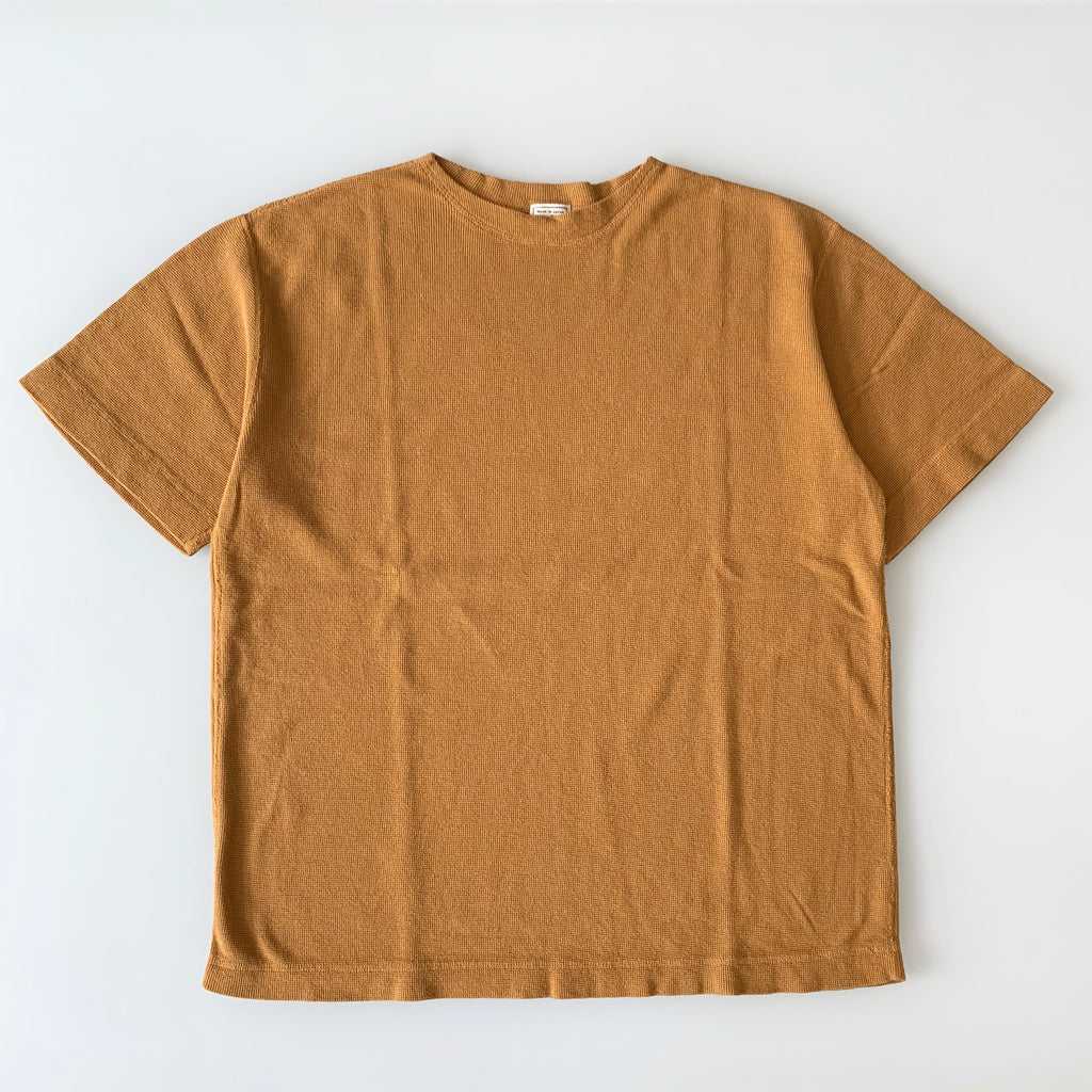 Military Rib Knit Short-Sleeve Boatneck in Mustard - Tempo