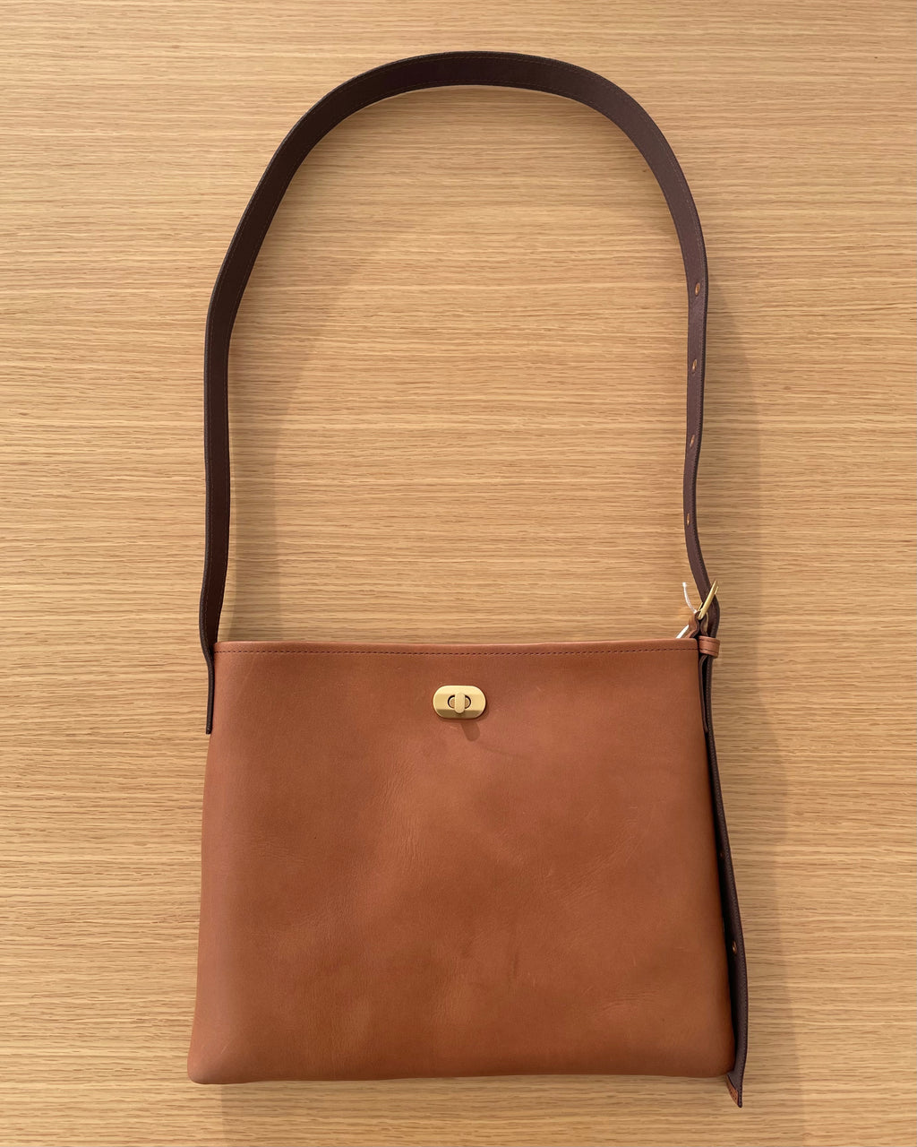 Twist Buckle Bag S in Dark Brown - Tempo